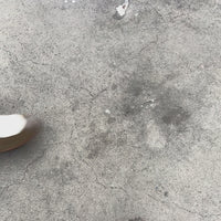 Victory Taupe Suede